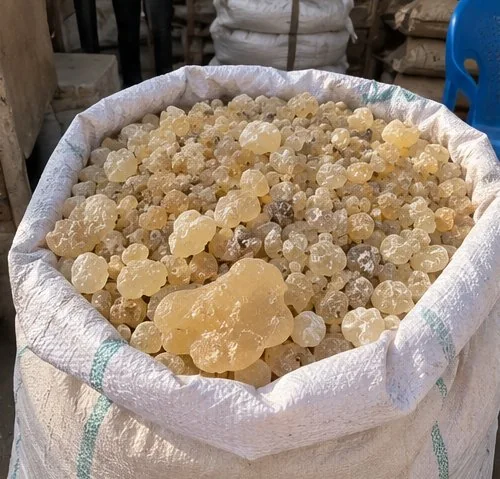 Graded Somali frankincense packed in an export sack