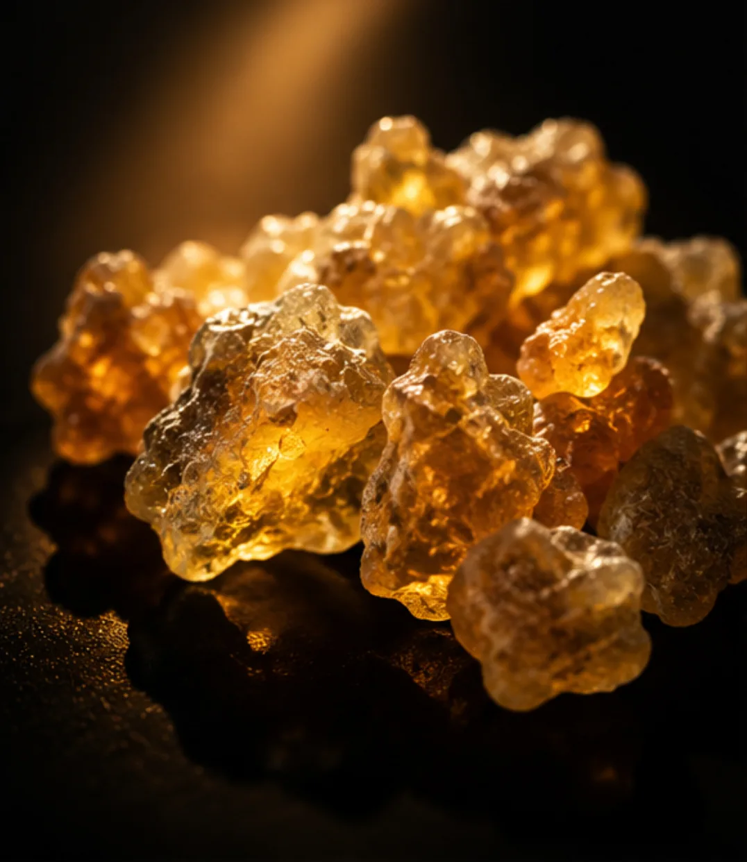 Backlit Somali frankincense tears showing translucency and colour