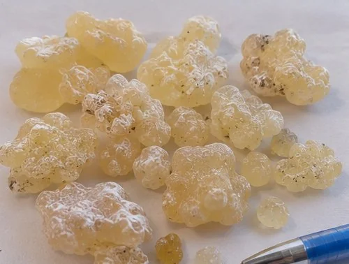 Somali Maydi frankincense tears (Boswellia frereana), Grade A